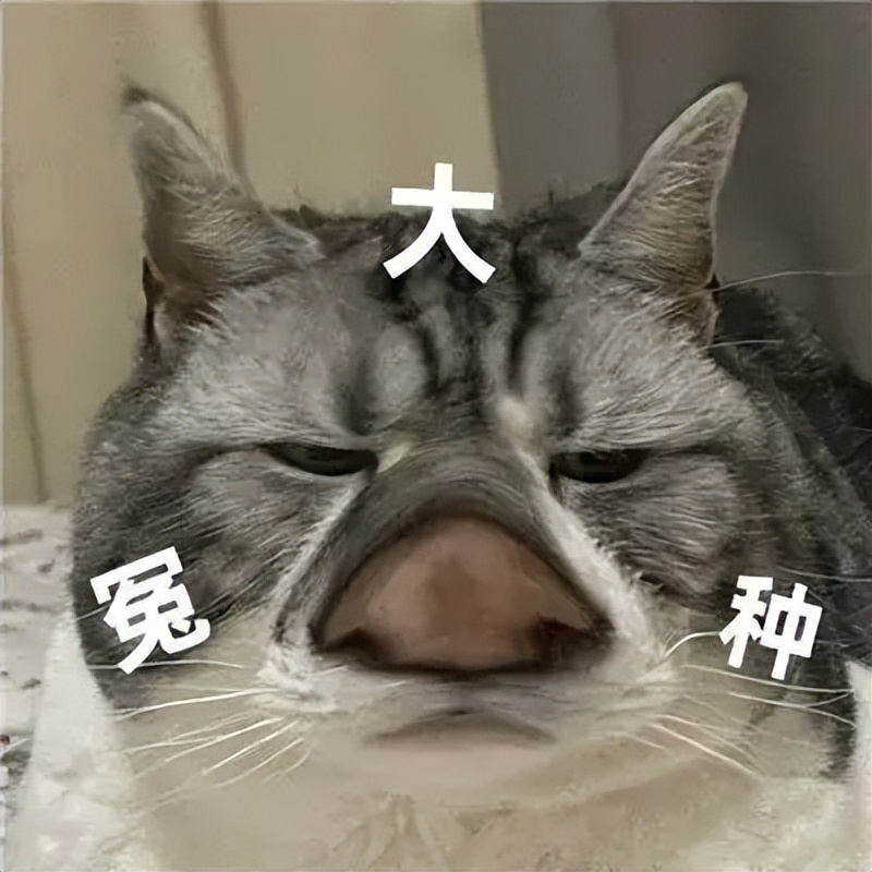 做客服怎么练打字,打字快能做客服吗