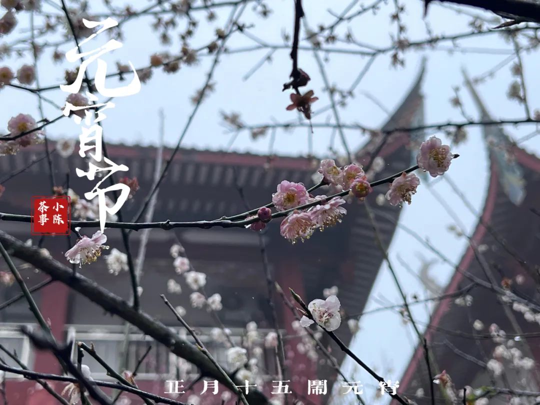 中国人的元宵节和中国人的茶,质朴、天然、纯真,浑然天成