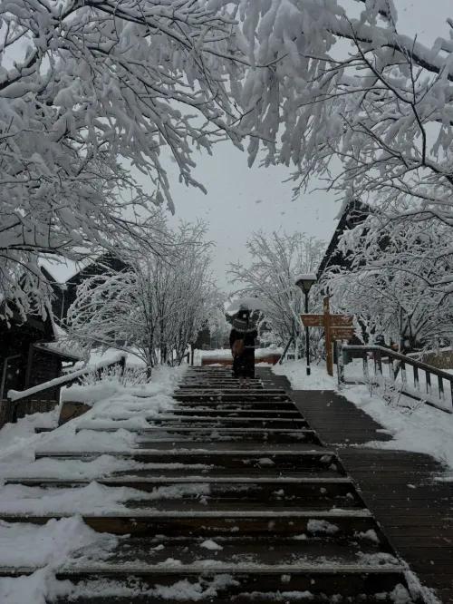 西岭雪山住宿攻略推荐,西岭雪山警察免门票需预约吗