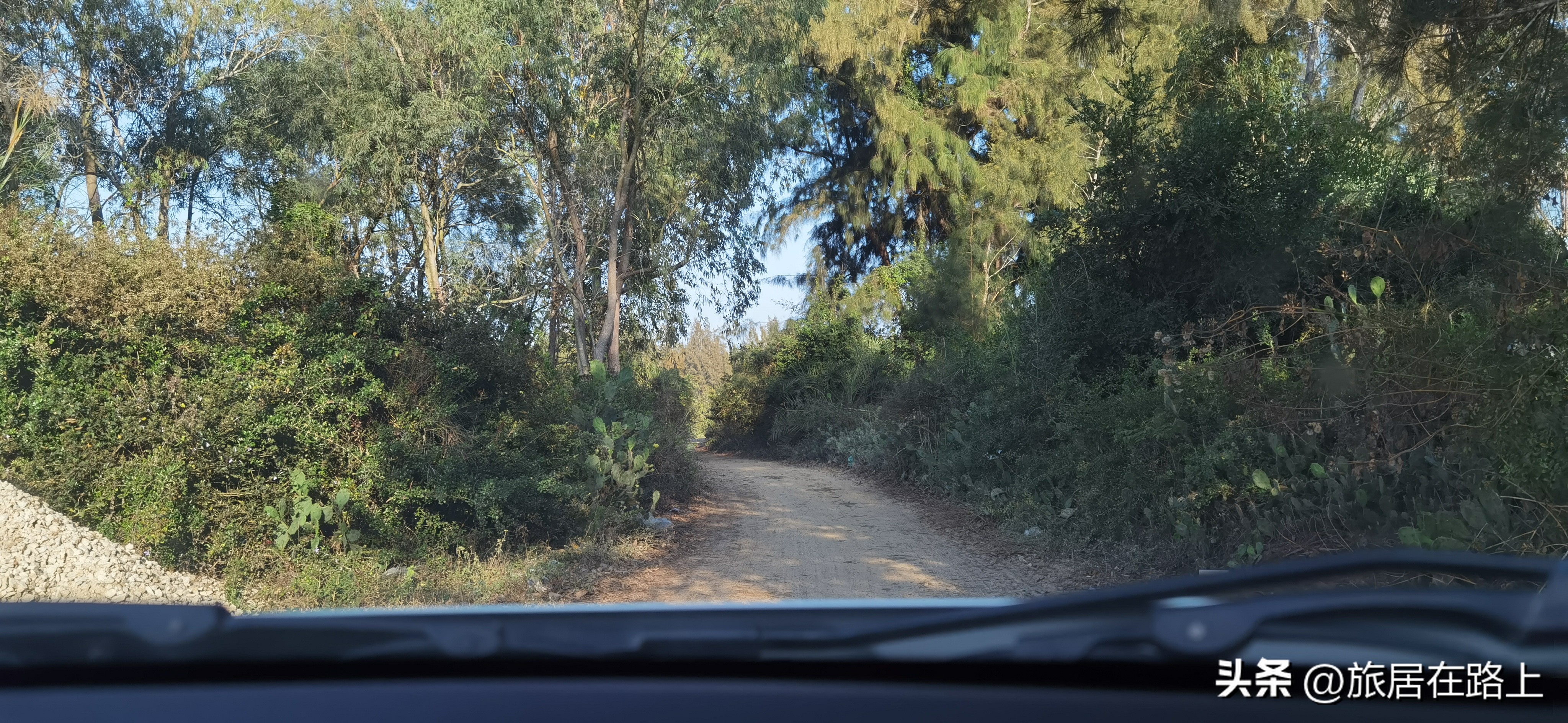 棋子湾上的仙人掌,海南棋子湾旅游攻略一日游