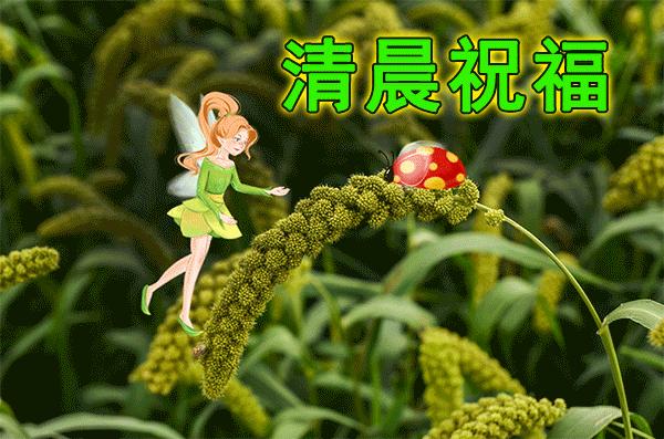 最漂亮早安问候语带字图片大全,早安问候语超漂亮图片带字