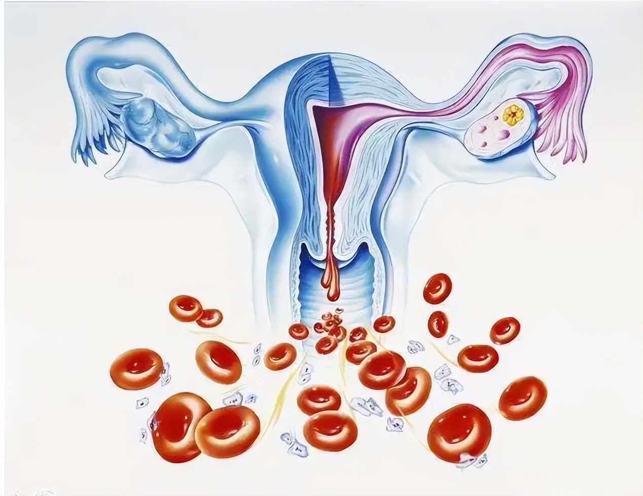 月经太少能排毒素吗,月经量少得可怜只用护垫就行了