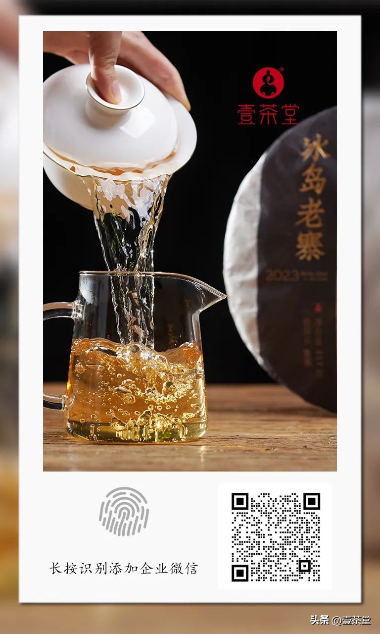 探茶源,临沧最顶级的普洱茶产区