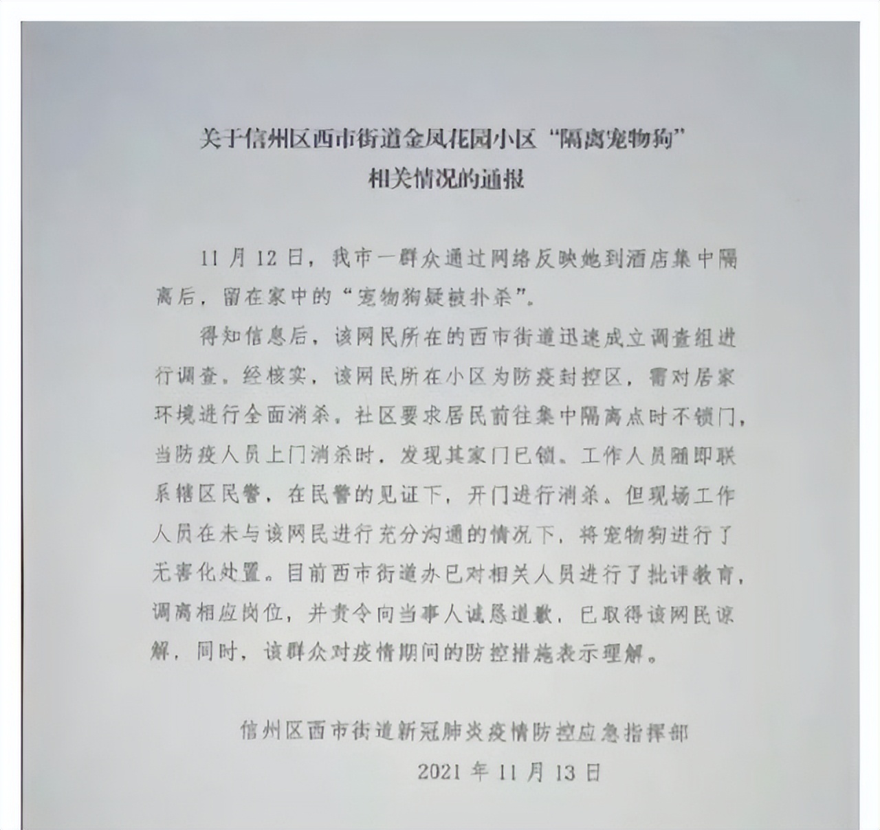 疫情宠物被无害化处理怎么办,无害化处理宠物狗