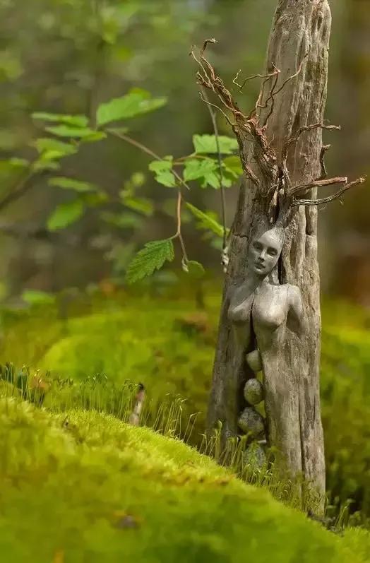 小小说全文完结重生,小小说刘国芳