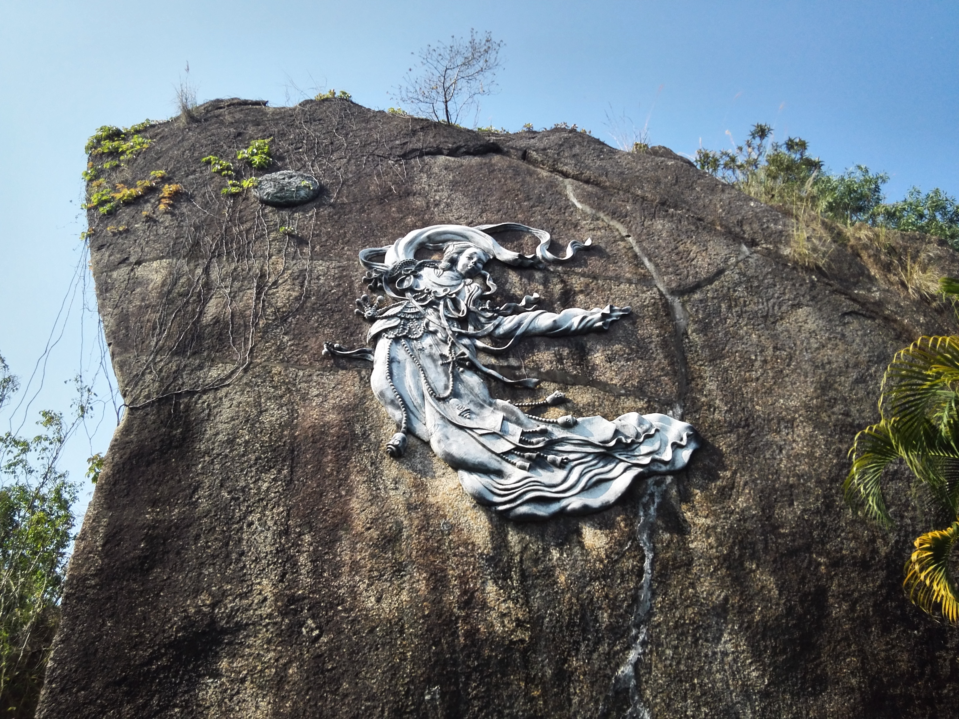 西丽水土保持科技示范园要预约吗,西丽水库水土保持示范园