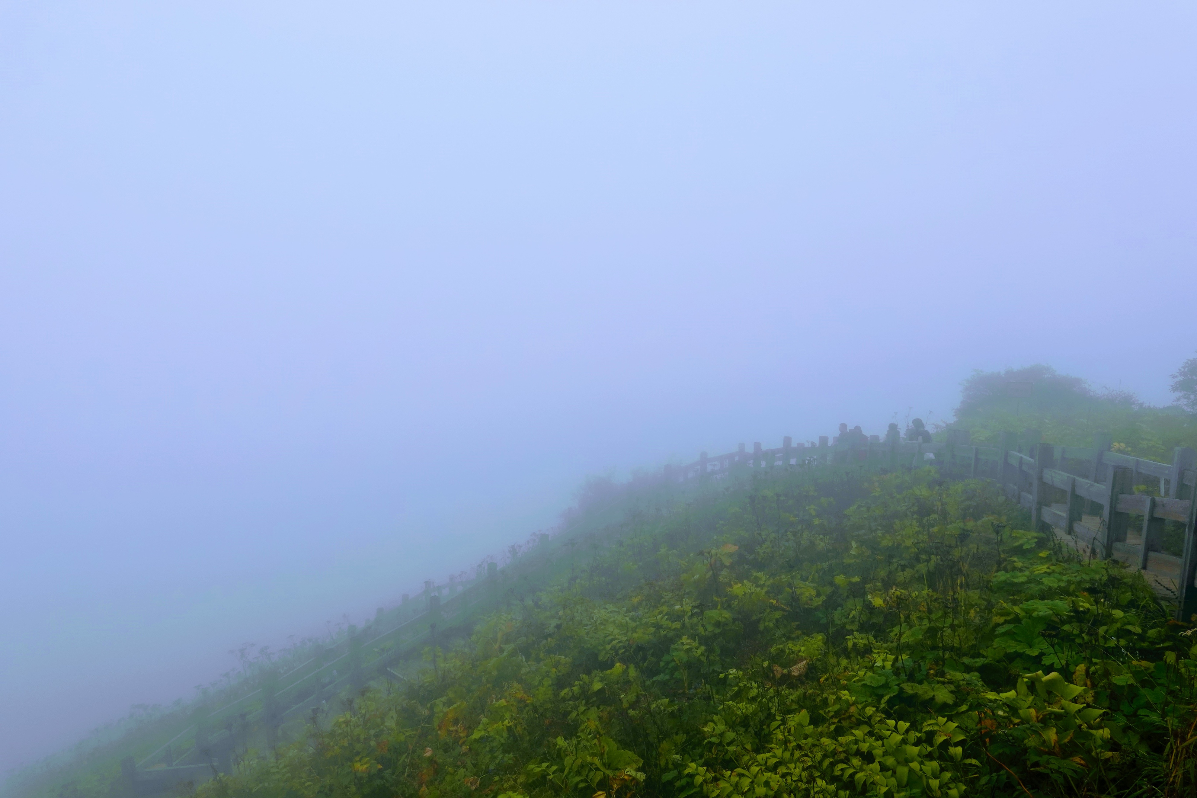 成都大邑徒步旅游攻略,大邑西岭雪山后山门票