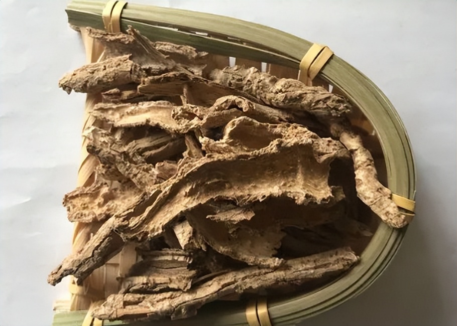 地骨皮这味中药有什么功效,地骨皮特效单方验方