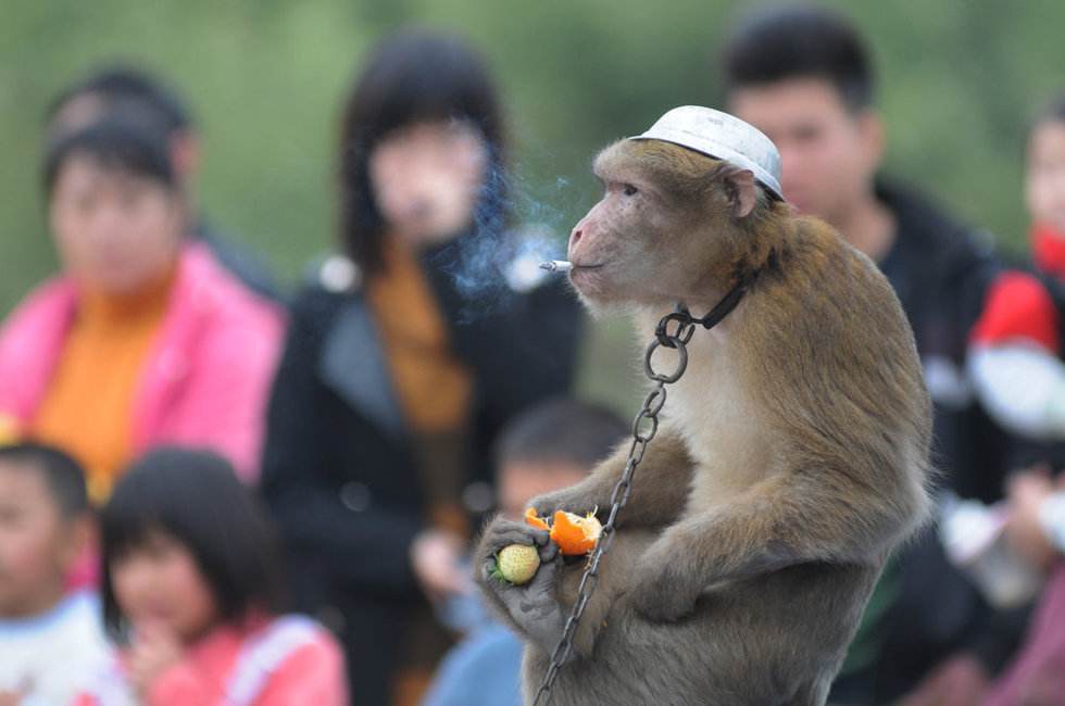 澳洲生活趣闻趣事,澳洲奇闻轶事