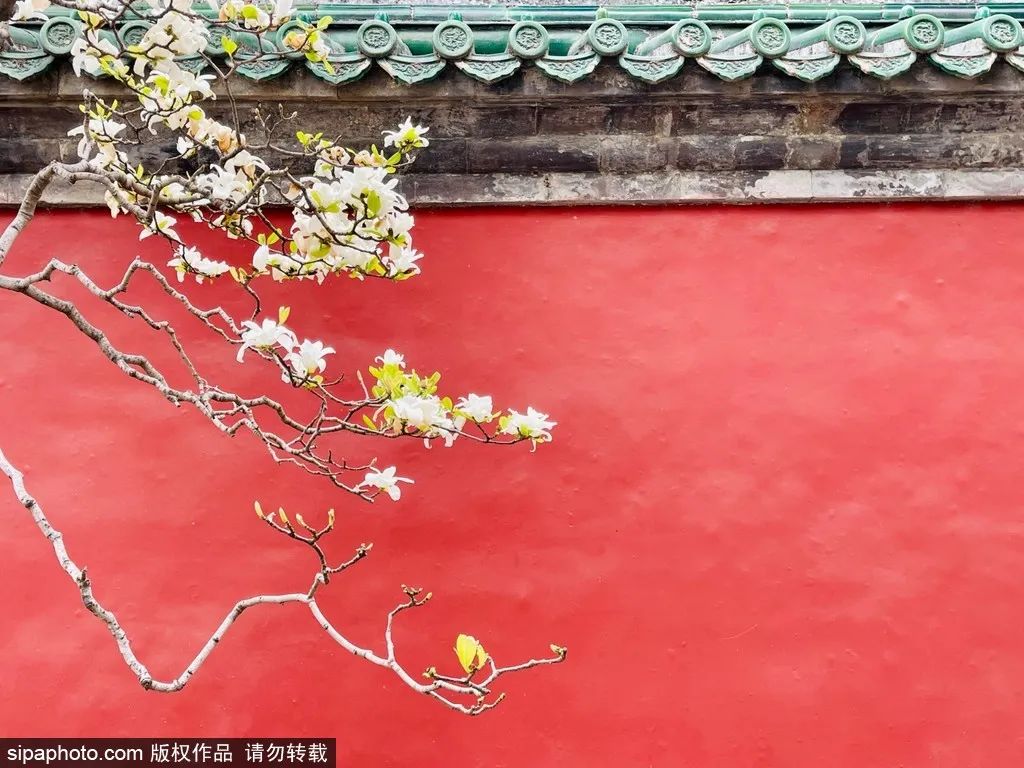 不负春光解锁春日美景打卡点,不负春光解锁春日美景攻略