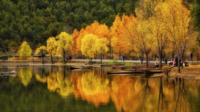 老年旅游团导游逼老人买东西后续,老人跟团游未购物被导游说