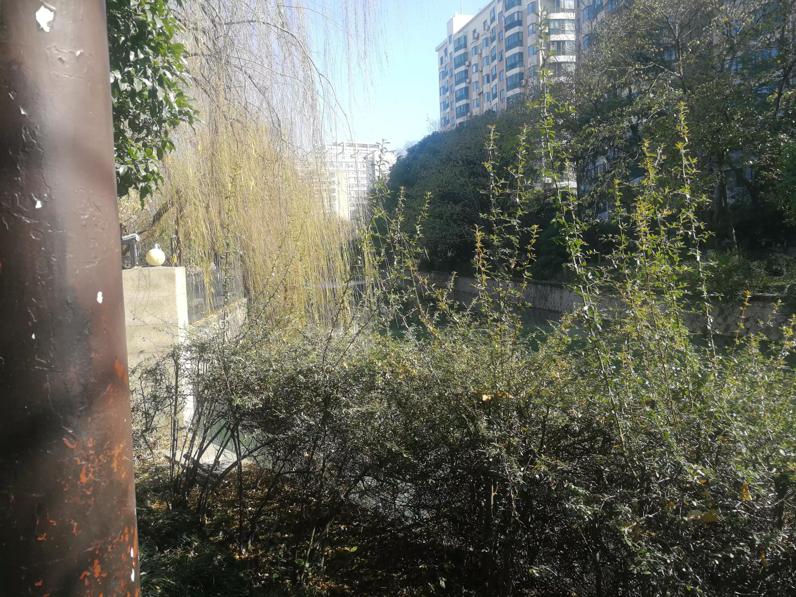 忆起六十多年前“文一街小学”的如烟往事