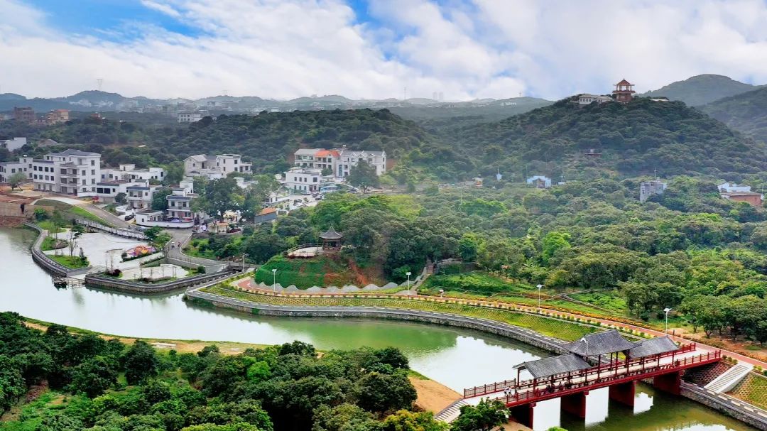 做好“土特产”文章合作社大有作为——走进高州市根子柏桥龙眼荔枝专业合作社