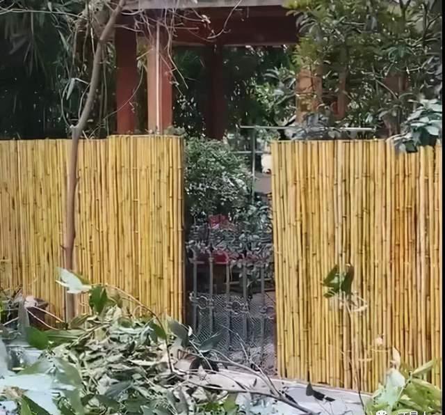 隔壁邻居偷了我家的狗,隔壁邻居偷我家狗