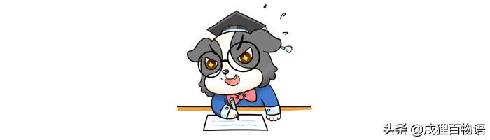 狗狗在沙发上乱尿怎么办啊,狗狗在沙发上拉尿怎么办