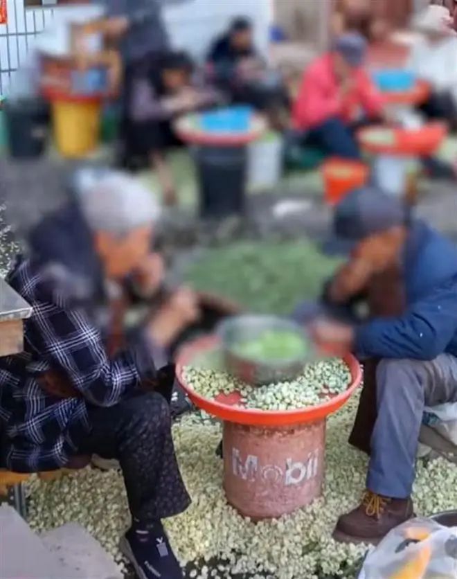 现剥蚕豆,脚踩酸菜视频被证实了吗