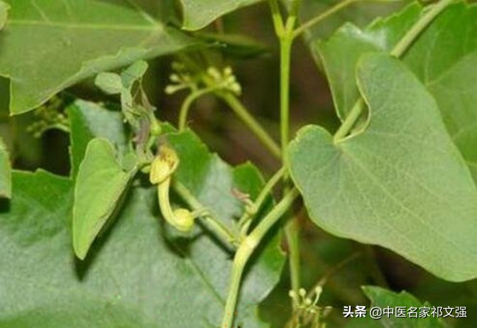 警惕，盆腔炎可以引起的不孕症，中医如何治疗？