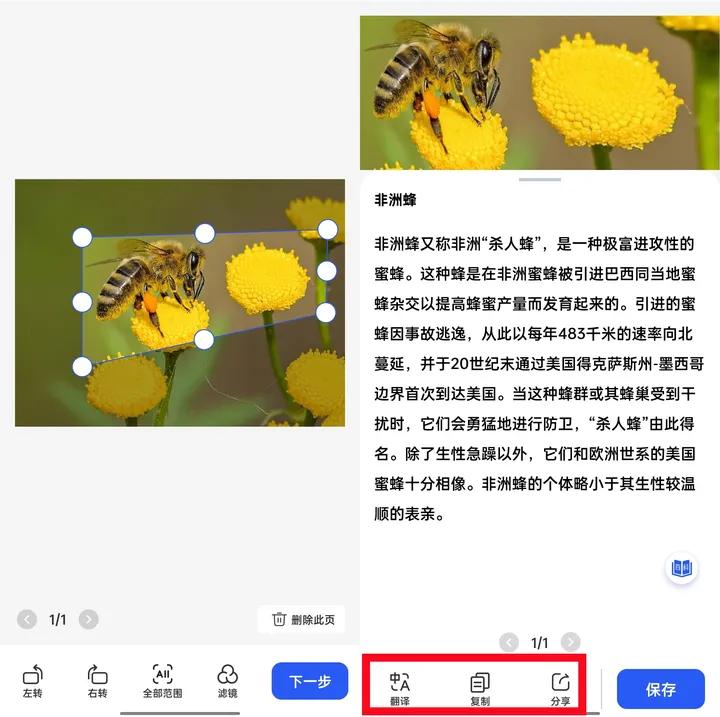 能够识别植物或动物的app,有什么app软件能识别各种动物