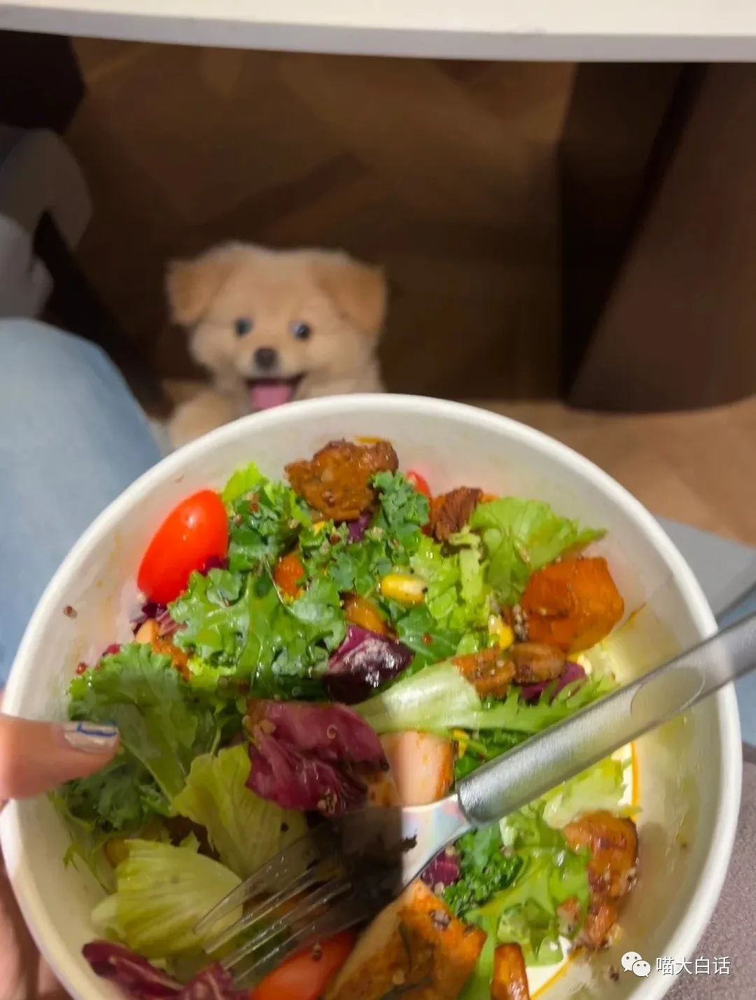 当富豪看到自己的国家队输球后...哈哈原来有钱人也会不高兴！