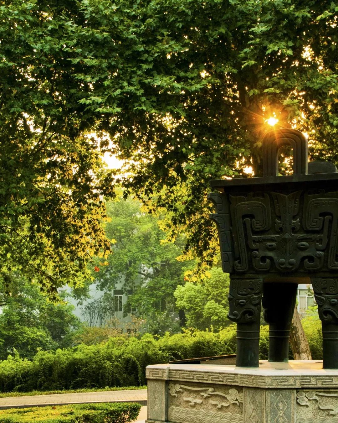 南农和南林区别,南农与南林关系