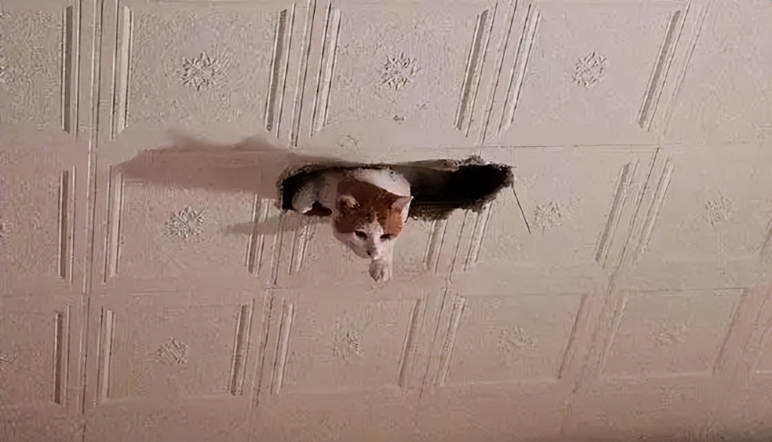 三体动画为什么会被吐槽,三体动画的正确打开方式