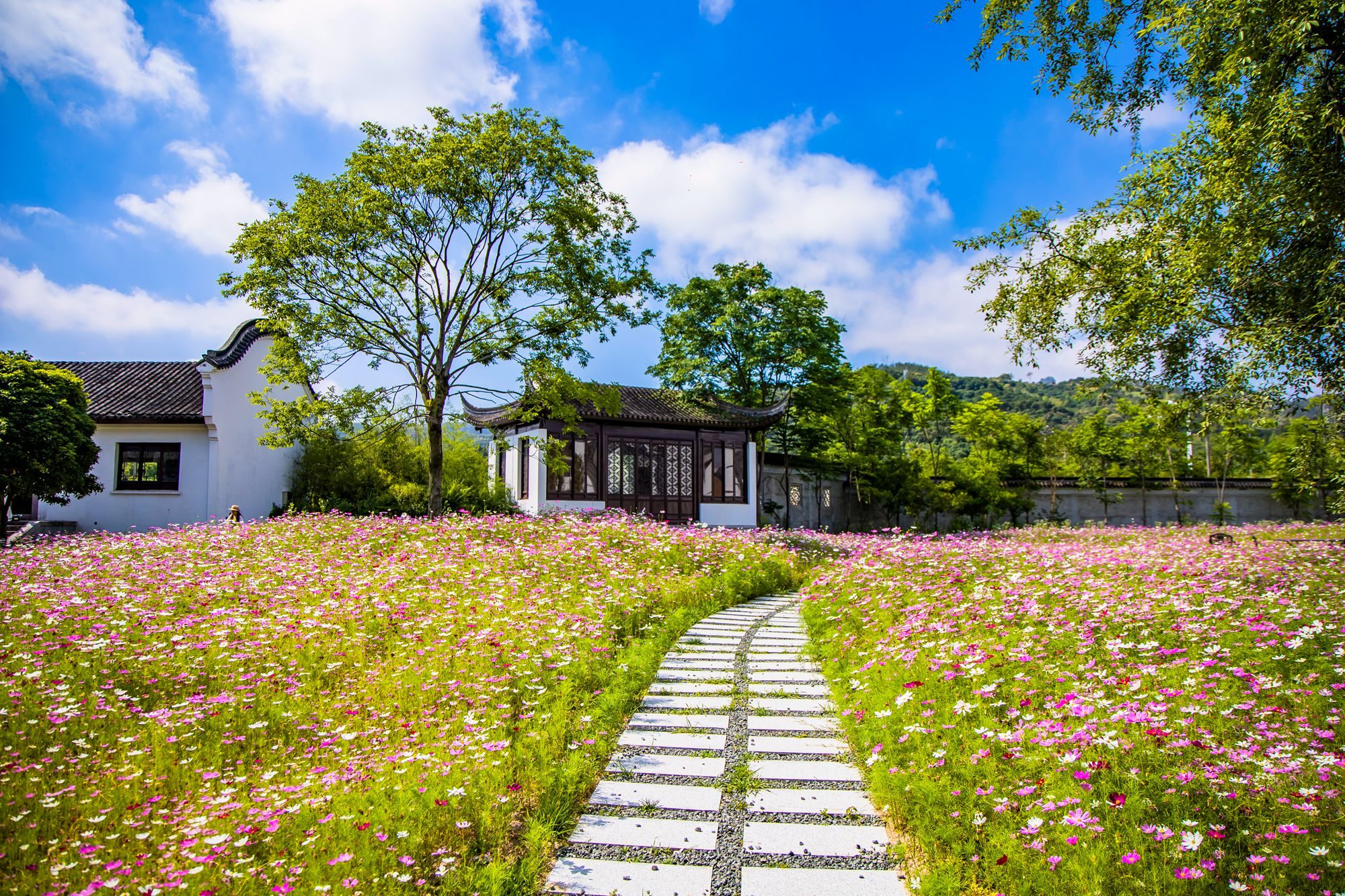 浙江台州书院,浙江仙居桐江书院