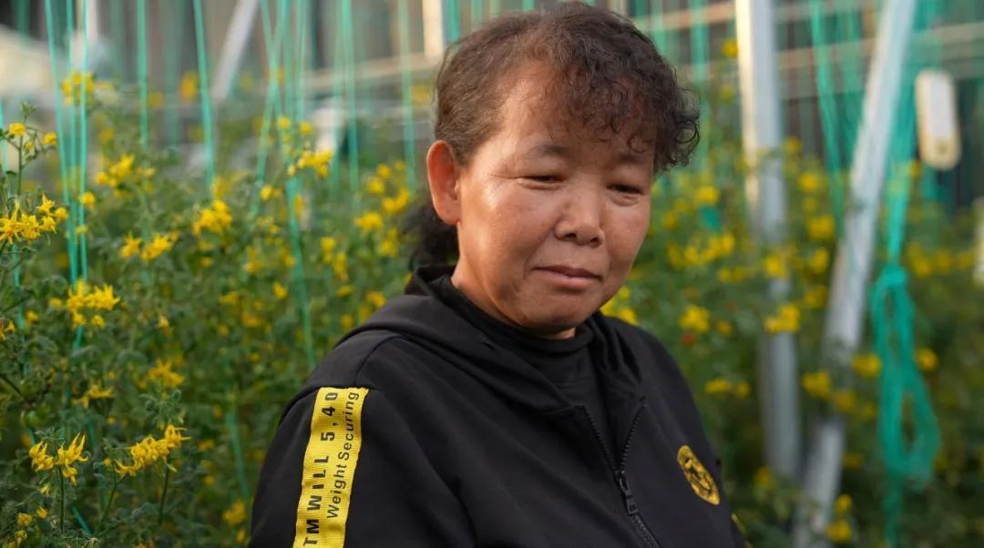 云天化“乡村振兴大地故事”——76万元的“特”果