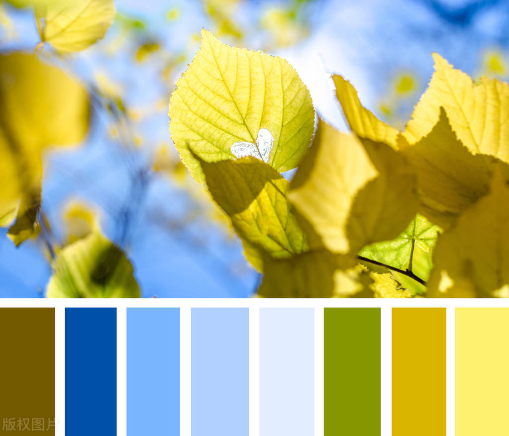 ppt汇报思路及技巧书籍,ppt报告设计技巧怎么写