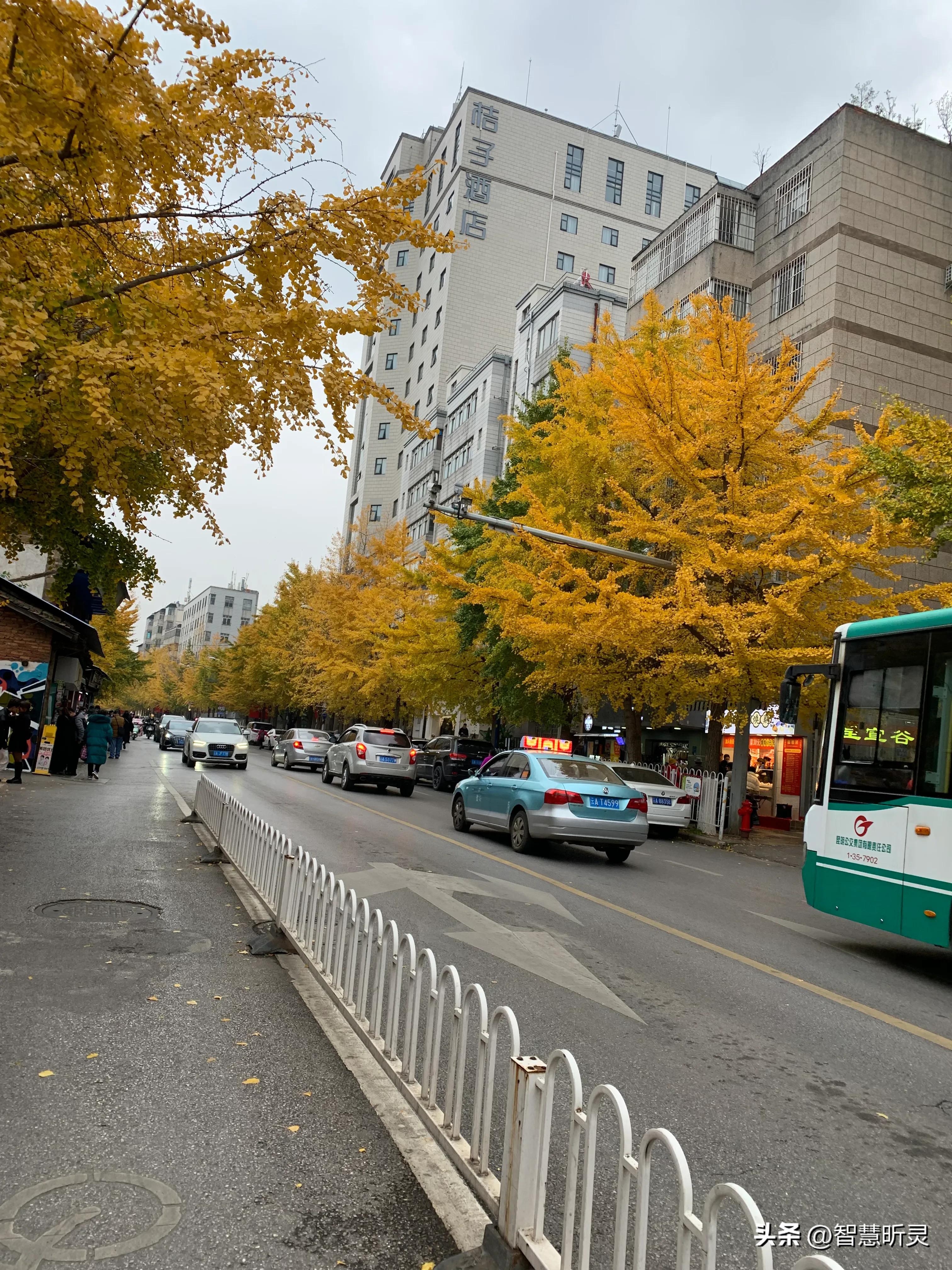 我的成长日记韩剧,我的成长日记全集