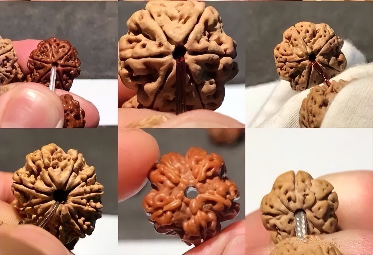 金刚菩提四大名品是什么,金刚菩提入门文玩