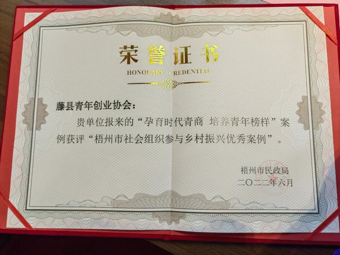 苍梧县青年创业协会,藤县青创协会