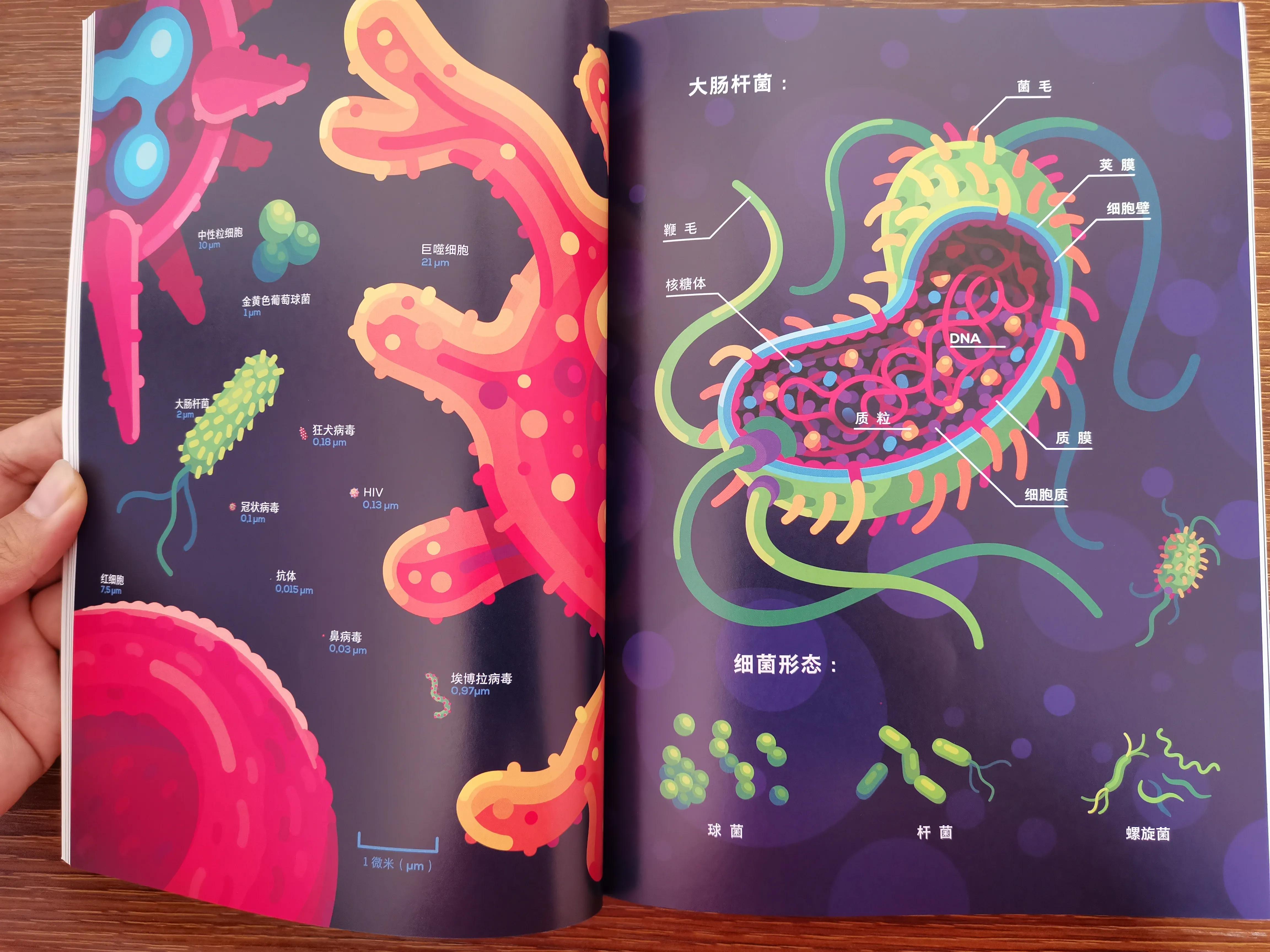 细胞内部之旅完整视频,细胞内部之旅