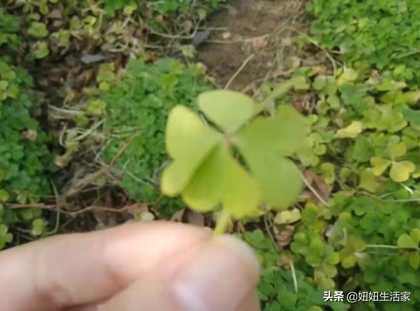 平凡的爱情却总那么细腻,简单平凡而又幸福的爱