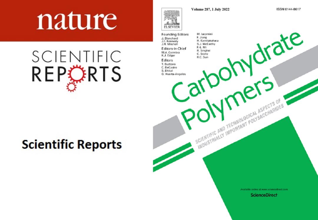 寒气遍地?这家企业,送来一股暖风