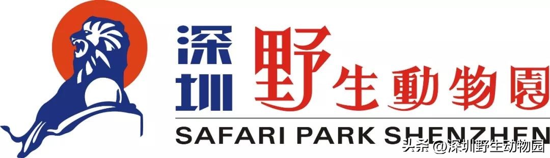 苗鸟怎么读,苗疆蛊事