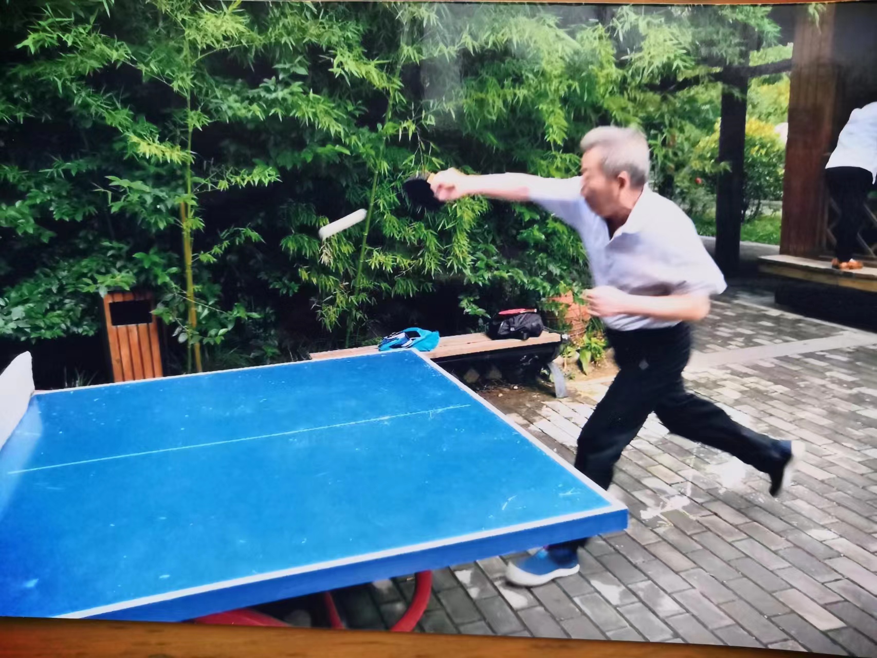 乒乓球银球,银球乒乓球