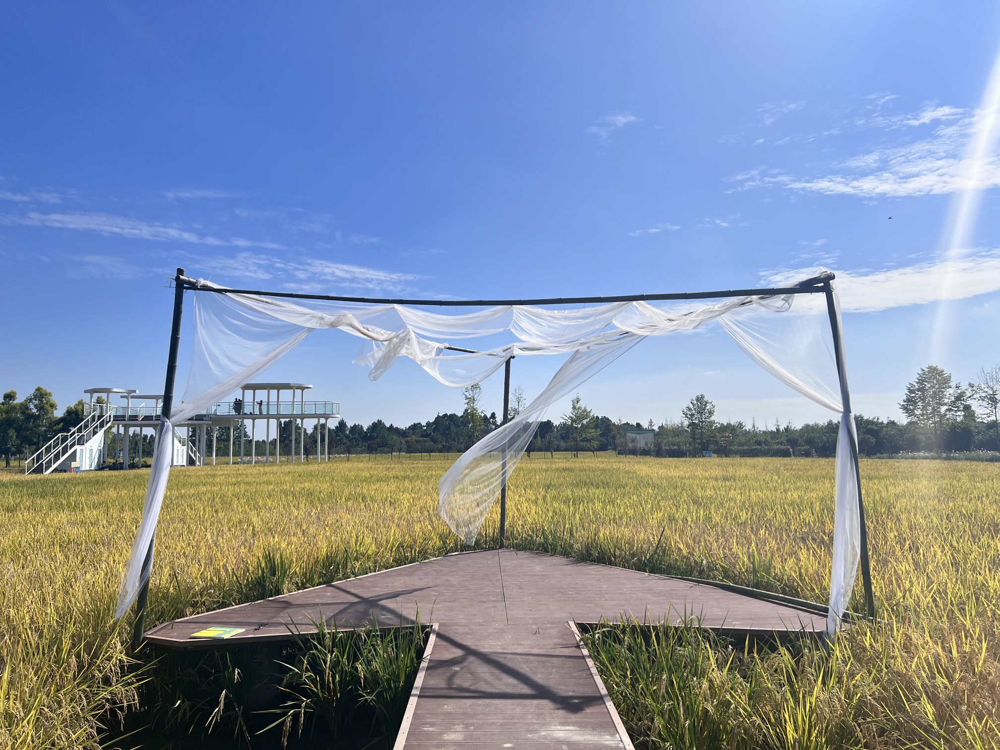 稻田乡村主题游,乡村旅游美食文化活动