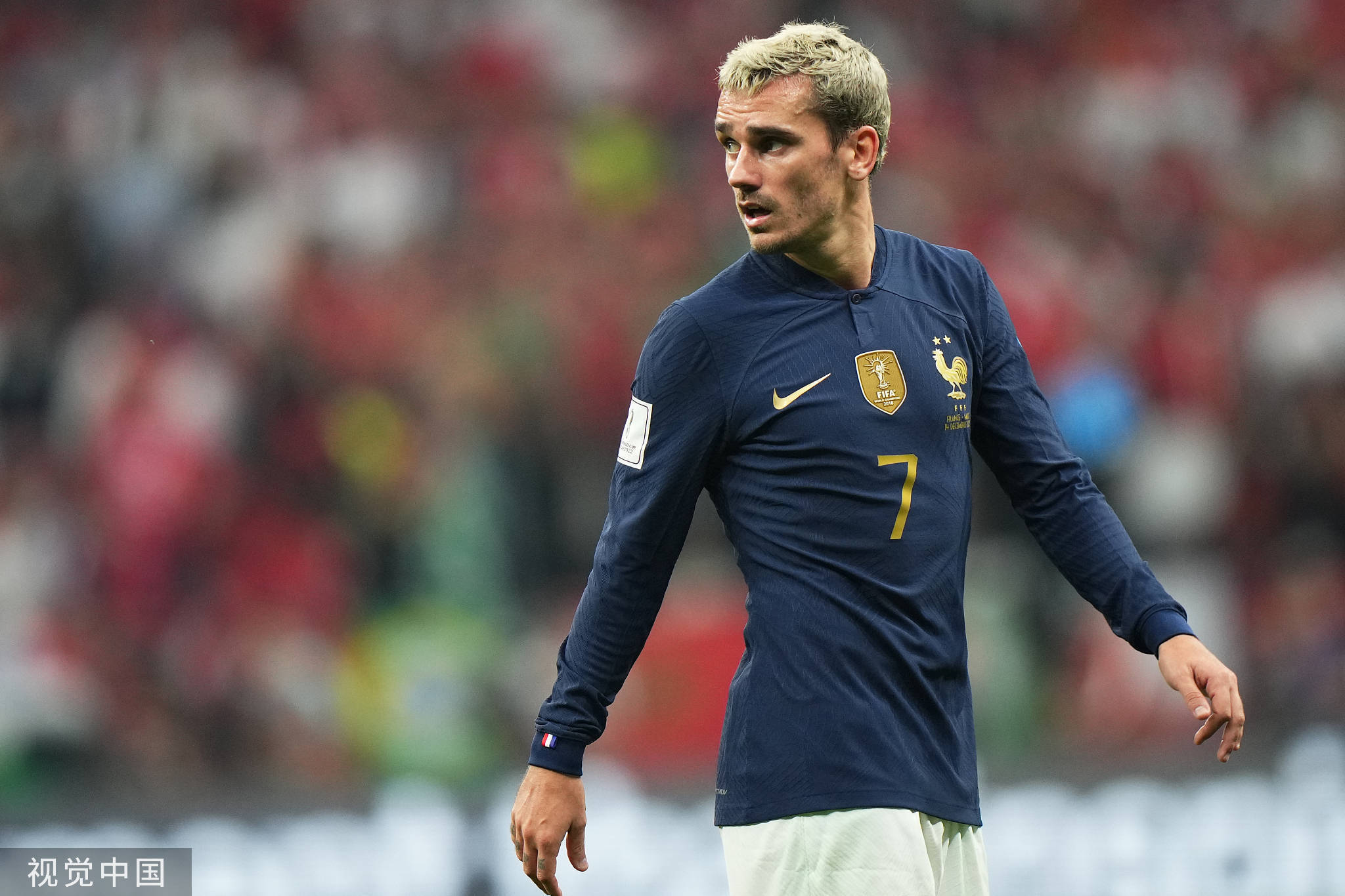 世界杯最新战报法国,世界杯早报卡塔尔悲情出局