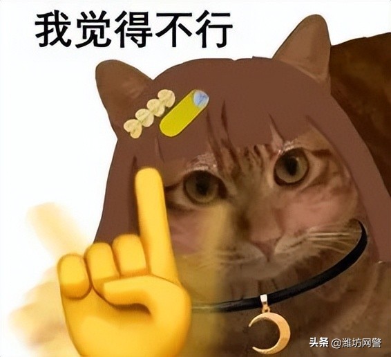 一个情商高的人你能骗她吗,一个智商足够高的人情商不可能低