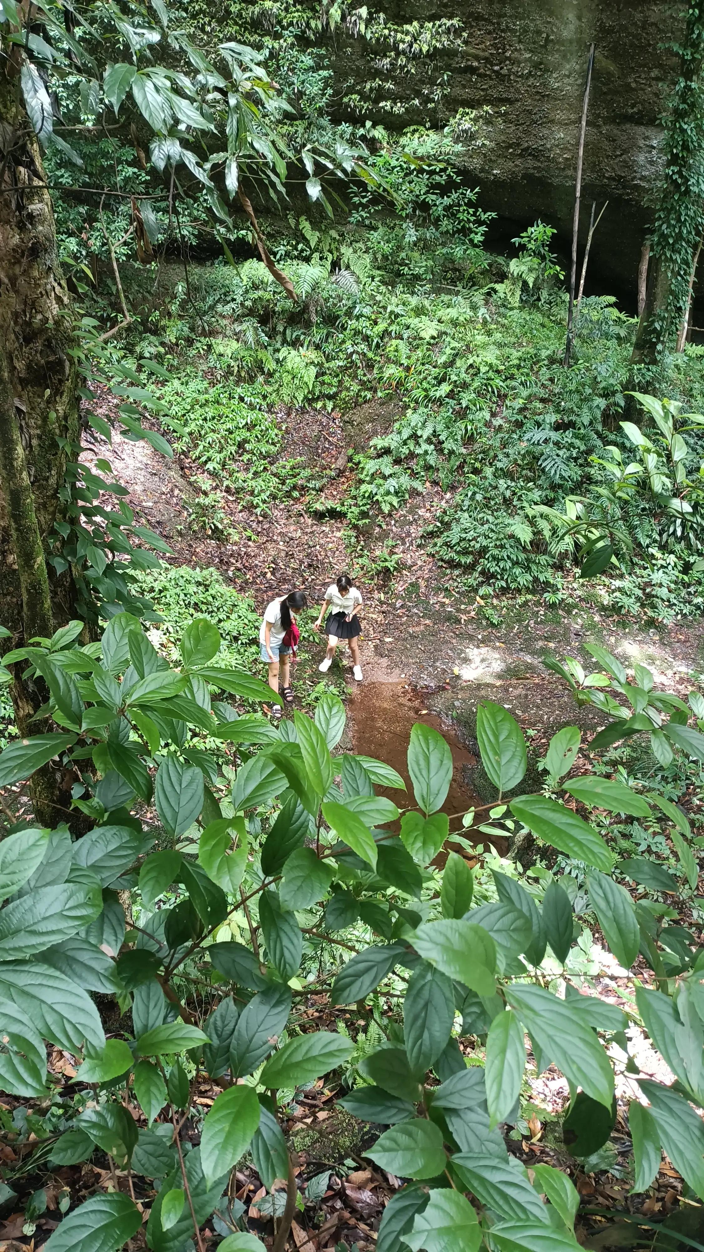 青城山一日游大概多少钱,青城山一日游民宿