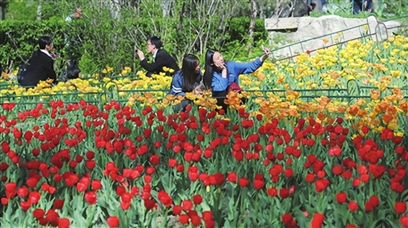 五一太原人旅游攻略,五一假期攻略太原