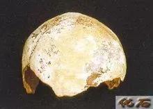 武汉纱帽山遗址,武汉纱帽山