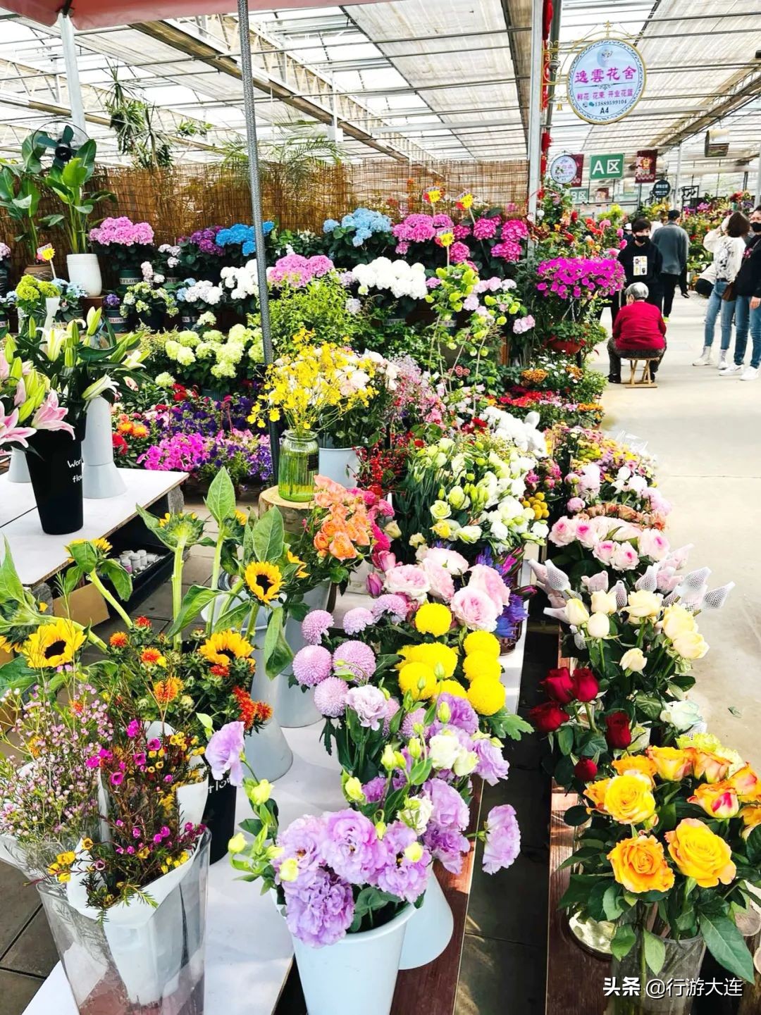 大连花市哪里最好玩,大连的花市有哪些