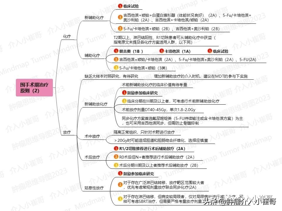 CSCO2023肿瘤思维导图胆囊癌诊疗指南