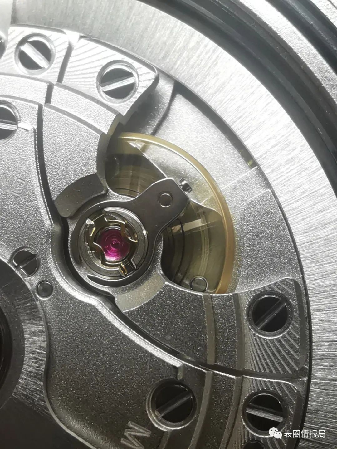 情报局第三季,表圈情报局第24周周报