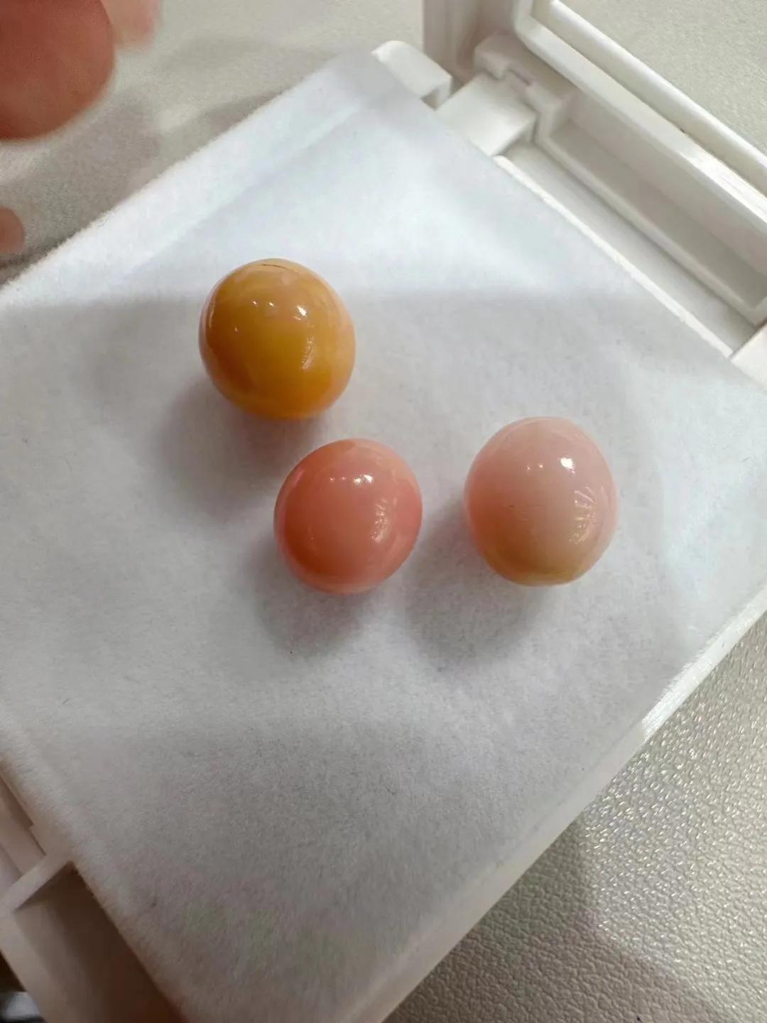 海螺珠价格多少钱一颗,海螺珠珠宝