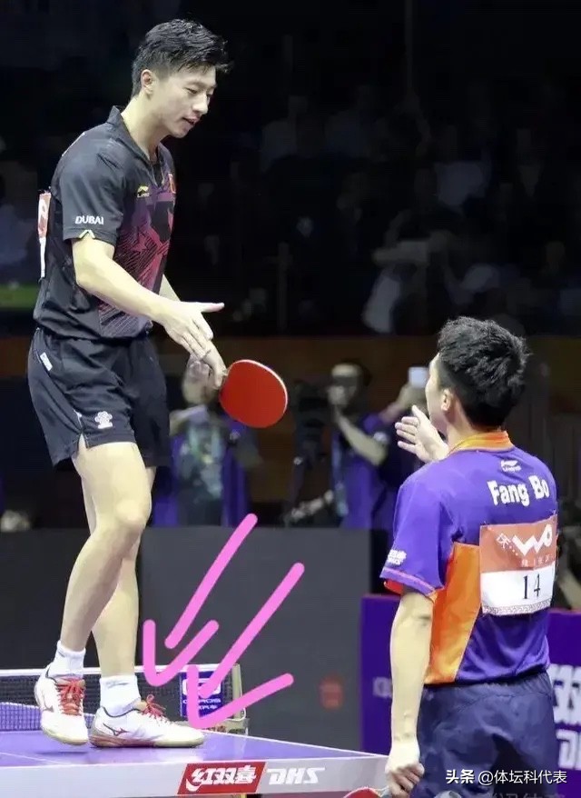 53人!国乒世锦赛全家福曝光!刘国梁却受到球迷批评!