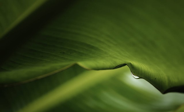 大连格林小镇附近蛋糕店,花园街新开蛋糕店