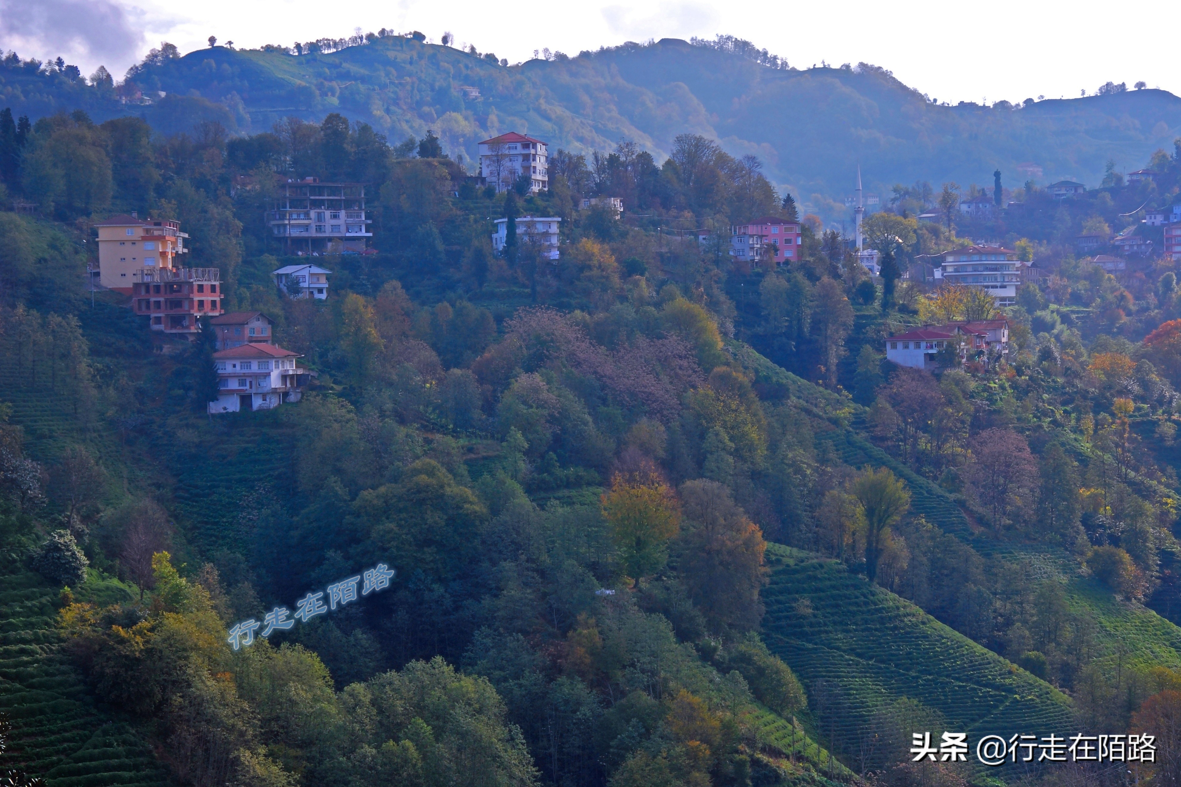 土耳其人茶文化,土耳其中文向导