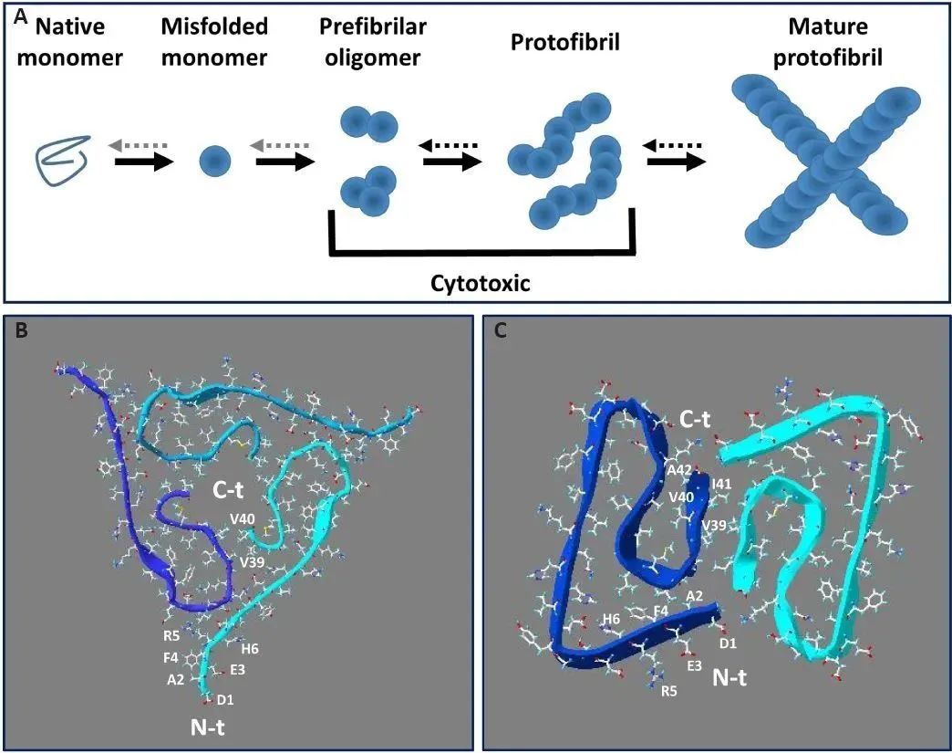 编辑推荐：阿尔茨海默病的新疗法设计与探索